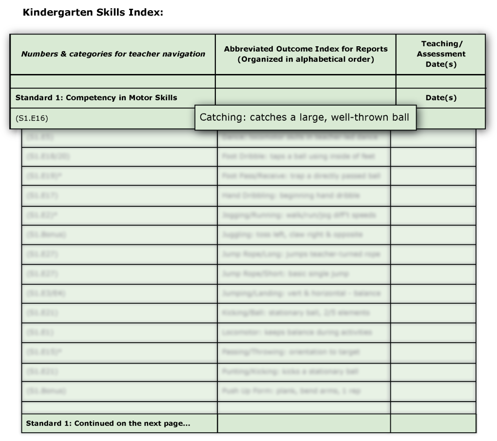 Sample photo of Step 3: Skills Index